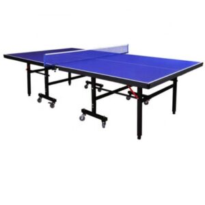 שולחן טניס פינג פונג